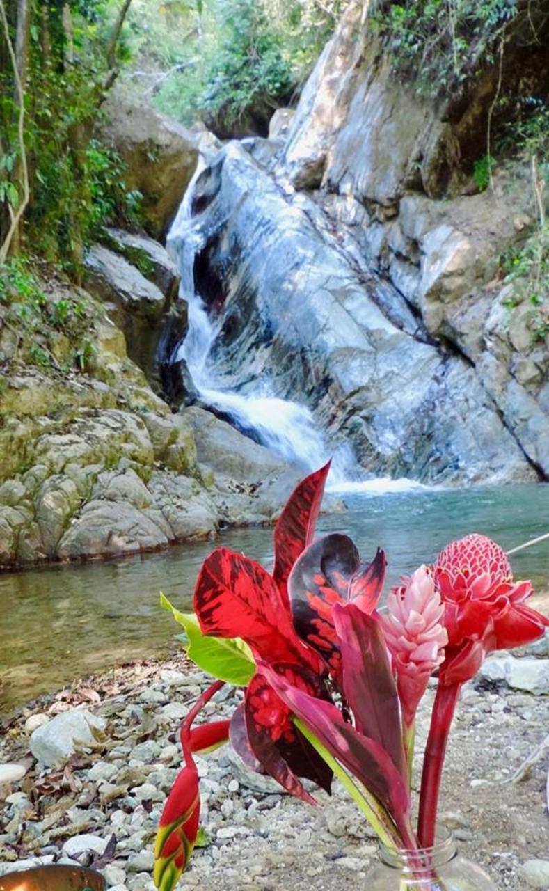 Glamping Finca Margaritas Pluma Hidalgo エクステリア 写真