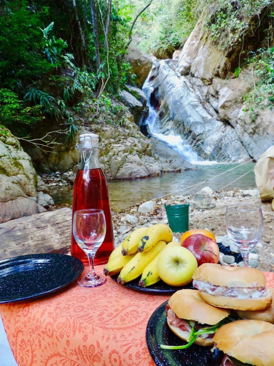 Glamping Finca Margaritas Pluma Hidalgo エクステリア 写真