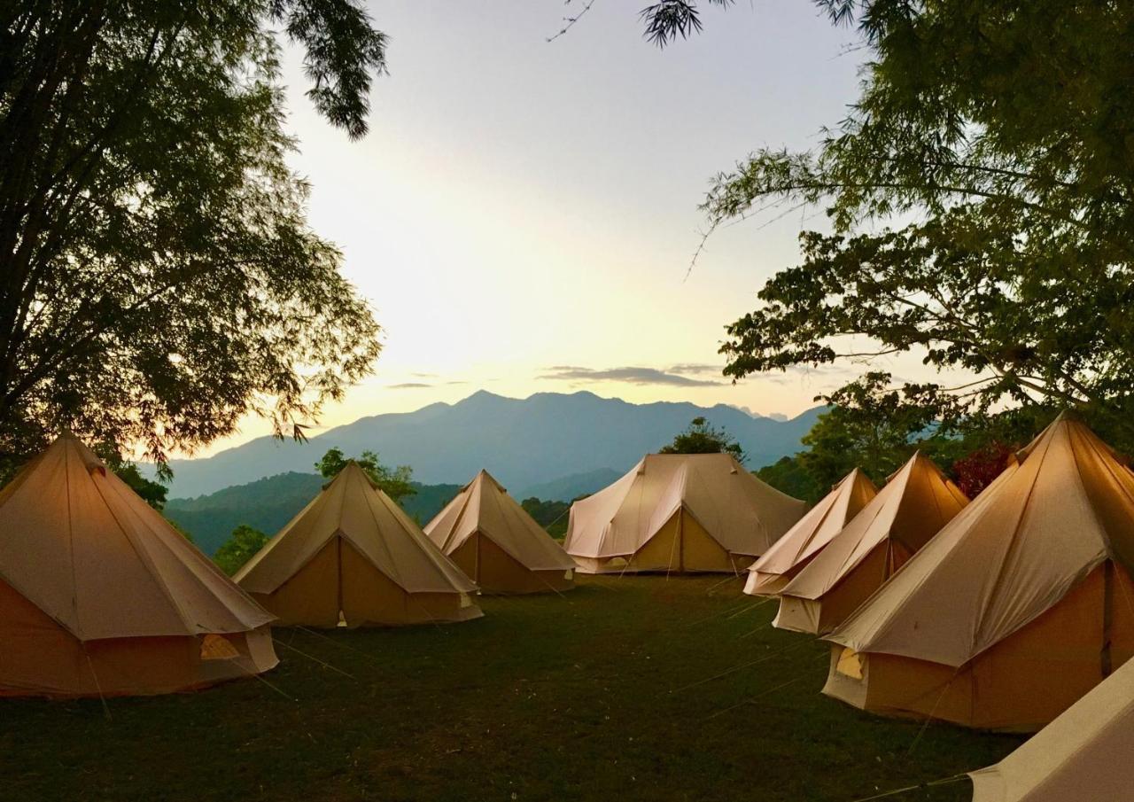 ホテル Glamping Finca Margaritas Pluma Hidalgo エクステリア 写真