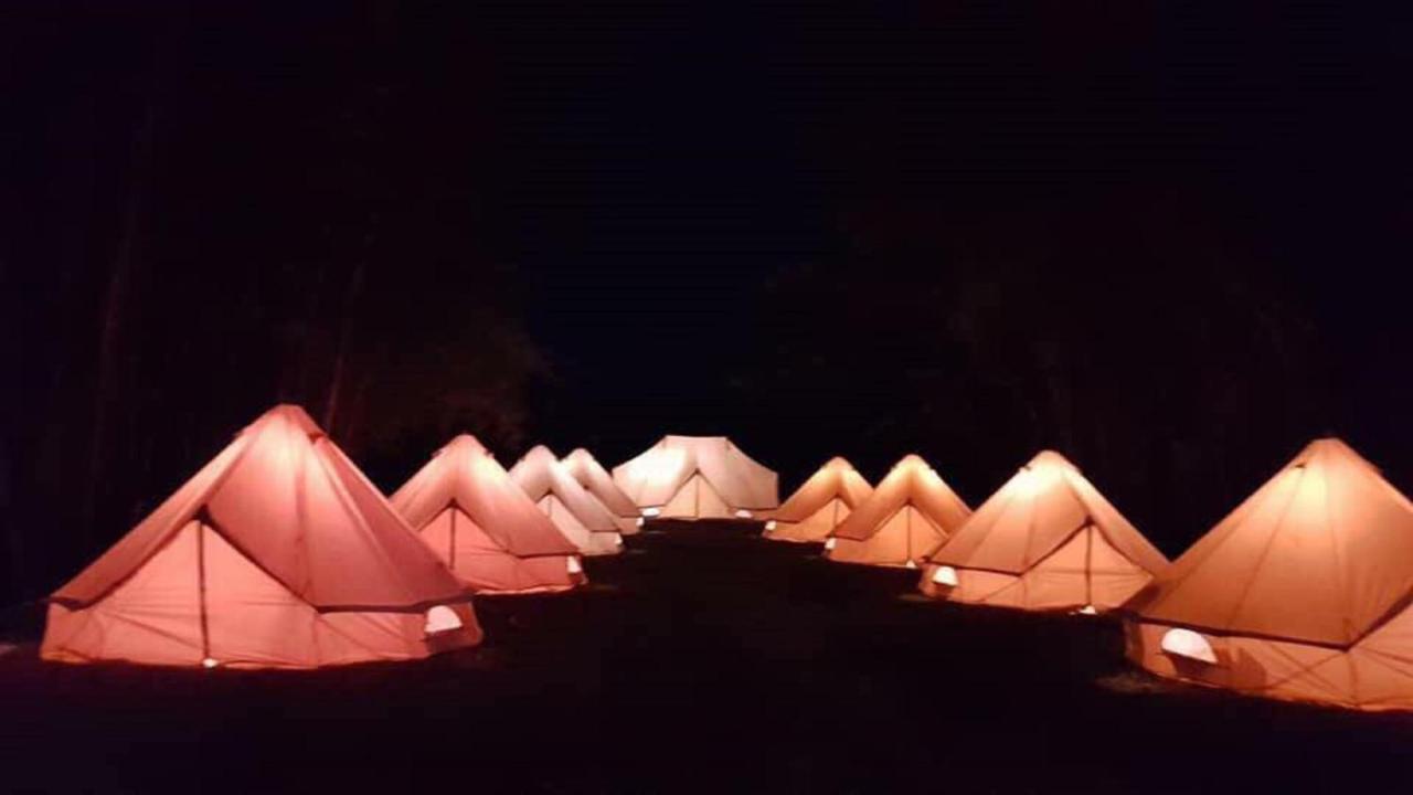 Glamping Finca Margaritas Pluma Hidalgo エクステリア 写真