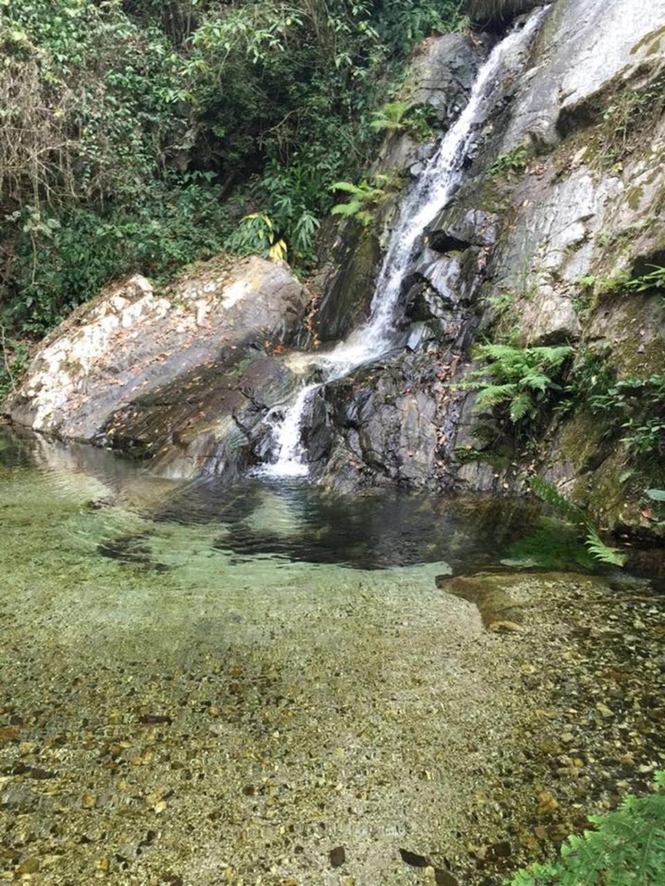 Glamping Finca Margaritas Pluma Hidalgo エクステリア 写真